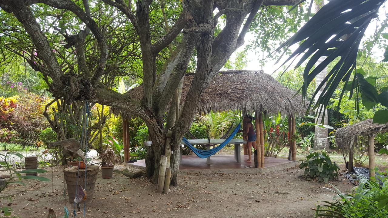 Las Cabanas De La Iguana Ayampe Ngoại thất bức ảnh
